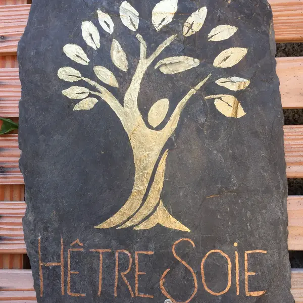 Hêtre Soie – photo de la galerie